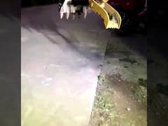 fábrica personalizada nova mini escavadeira hidráulica balde de agarrar para venda