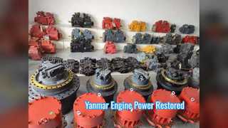 Substituição do elevado desempenho do conjunto de motor de Yanmar 4TNV98T